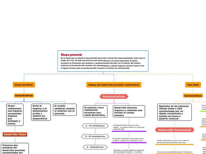 Etapa prenatal                                                                                        Es la etapa que va desde la fecundación del ovulo a través del espermatozoide, hasta que la mujer da a luz. Es todo ese proceso que suele demorar en l�