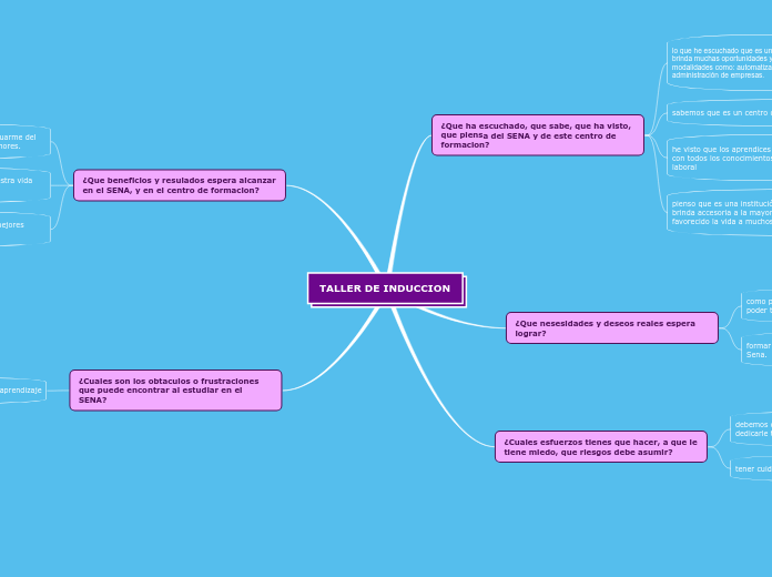 TALLER DE INDUCCION