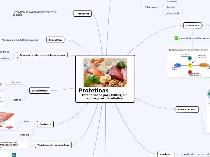 Protetinas                                                                             Esta formado por (CHON), sin embargo es  facultativo.