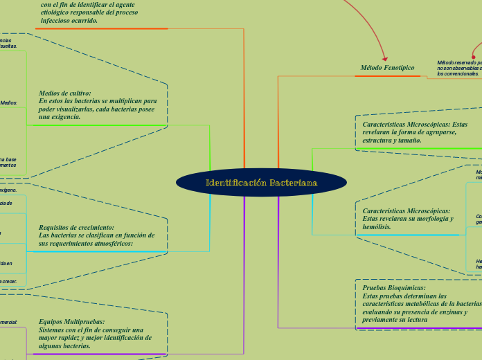 Vizairo_Carlos_Mapa_Conceptual (1)