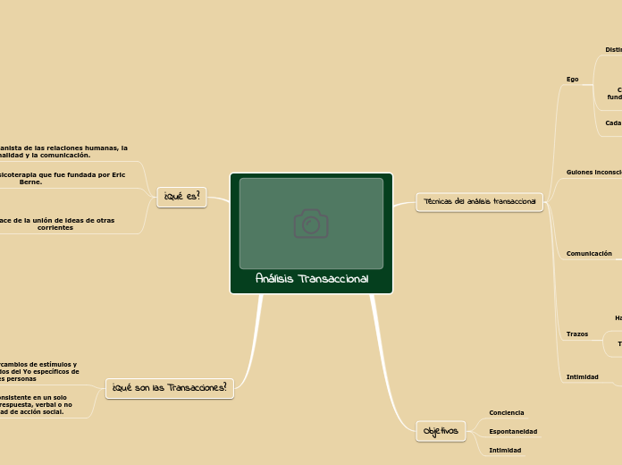 Análisis Transaccional