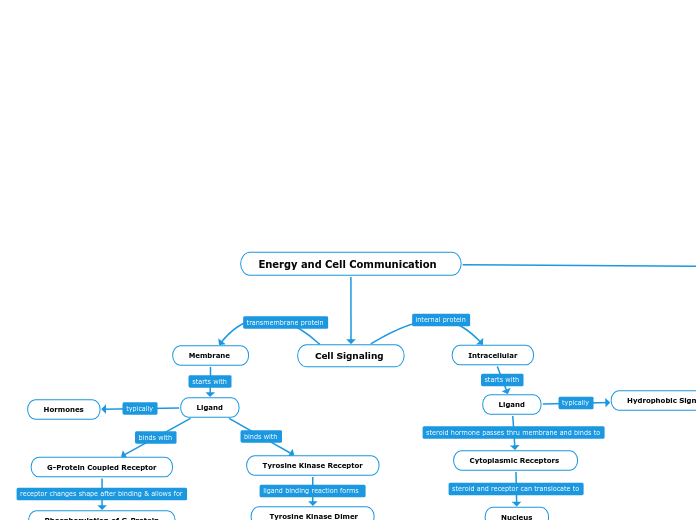 Concept Map 2