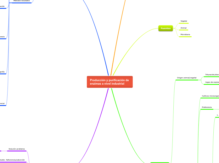 Producción y purificación de 
enzimas a nivel industrial