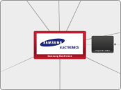 Samsung Electronics