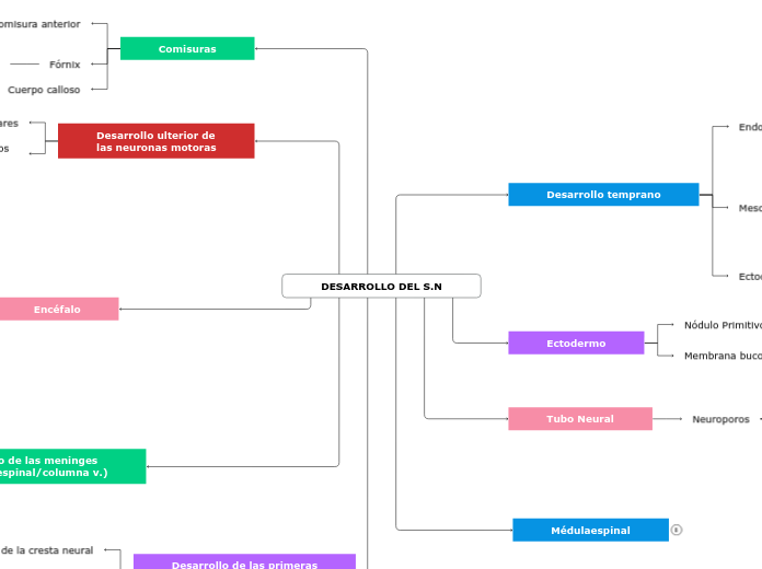 DESARROLLO DEL S.N