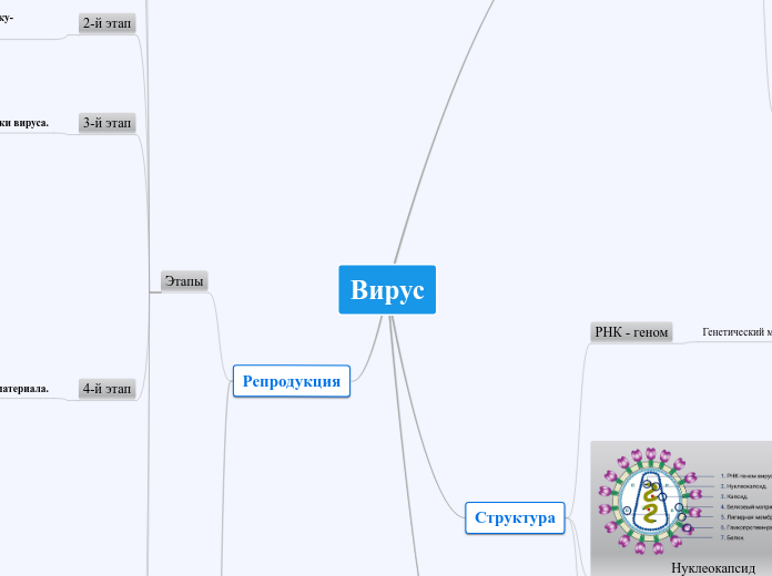 Вирус