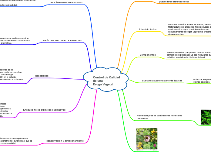 Control de Calidad 
de una 
Droga Vegetal
