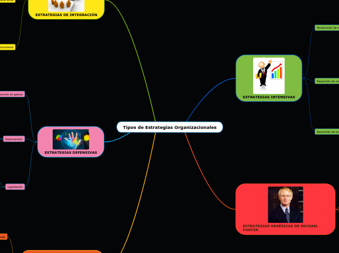 Tipos de Estrategias Organizacionales