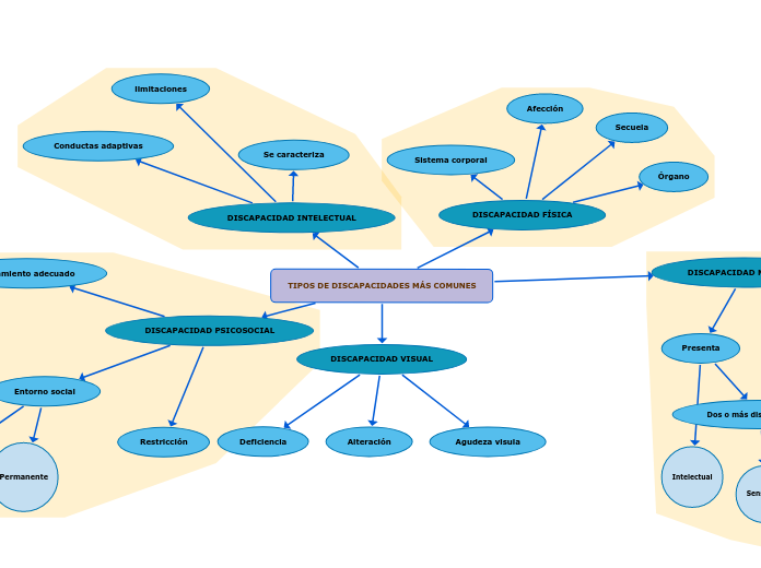 TIPOS DE DISCAPACIDADES MÁS COMUNES