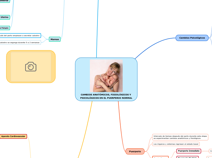 CAMBIOS ANATÓMICOS, FISIOLÓGICOS Y PSICOLÓGICOS EN EL PUERPERIO NORMAL