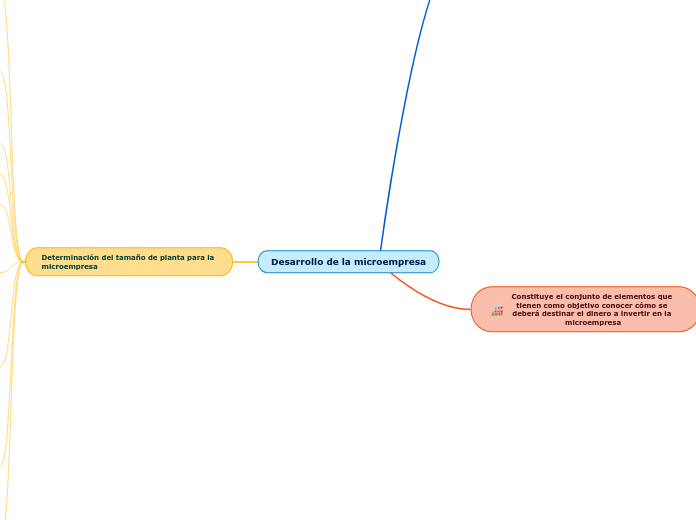 Desarrollo de la microempresa