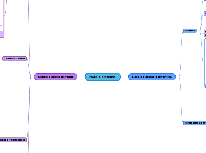 Nerbio sistema 