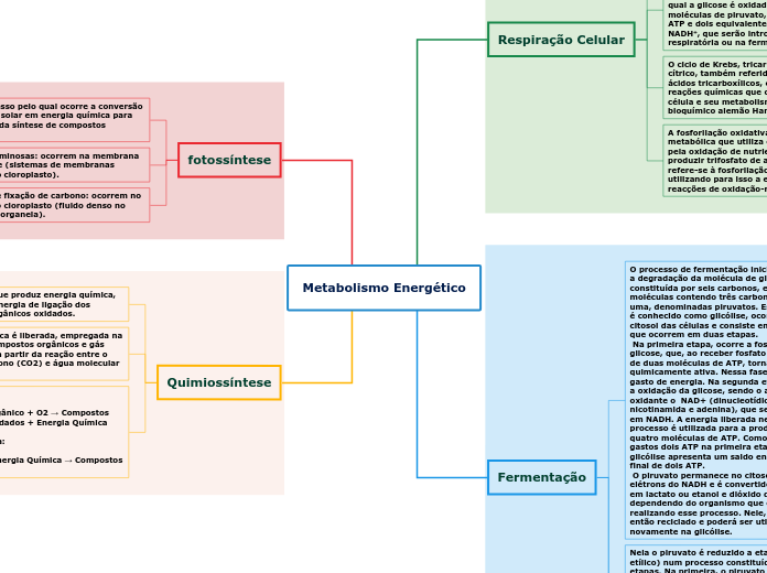 Metabolismo Energético