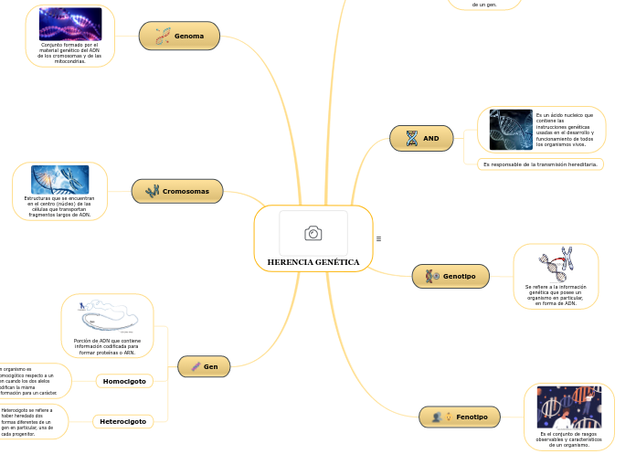 HERENCIA GENÉTICA