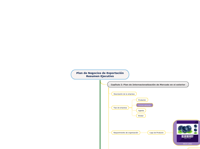 Plan de Negocios de Exportación
Resumen Ejecutivo
