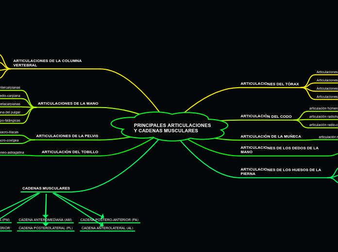 PRINCIPALES ARTICULACIONES
Y CADENAS MUSCULARES