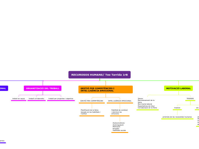 MAPA CONCEPTUAL T.5