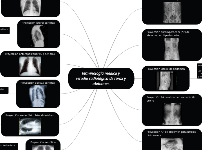 Terminología medica y estudio