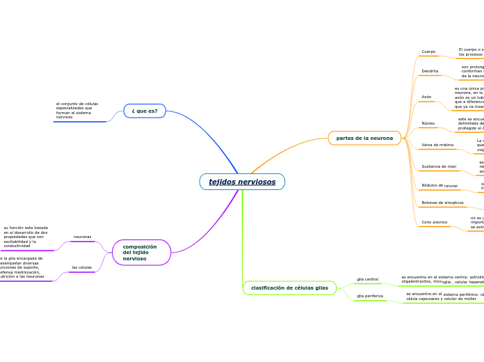 tejidos nerviosos