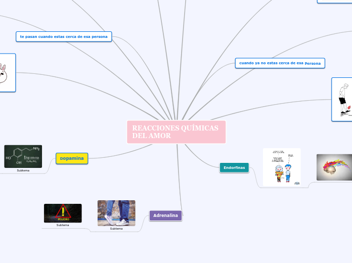 REACCIONES QUIMICAS DEL AMOR
