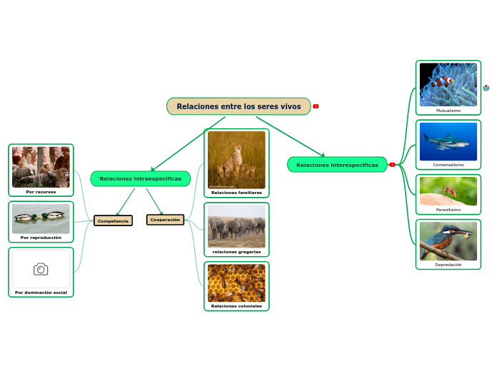 Relaciones entre los seres vivos