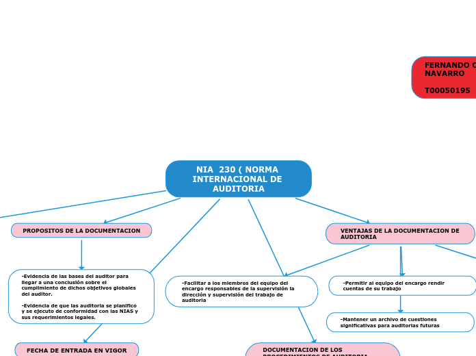 NIA  230 ( NORMA INTERNACIONAL DE AUDITORIA