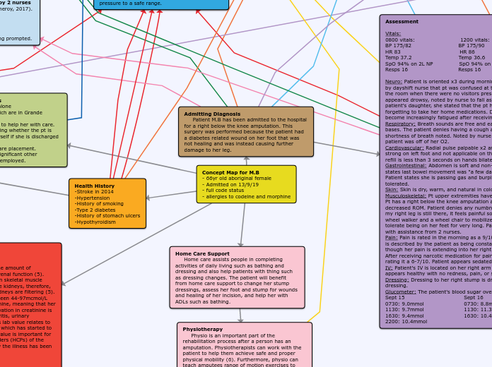 NS408 Allison Concept Map