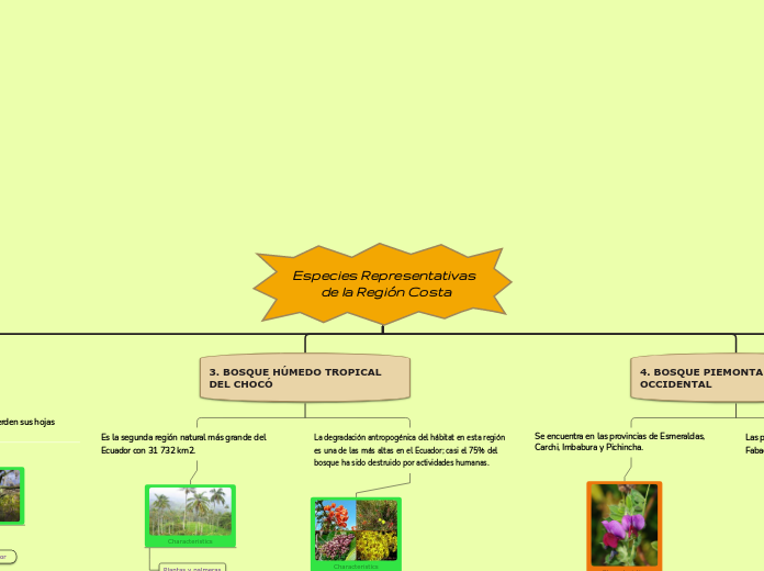 Especies Representativas de la Región Costa