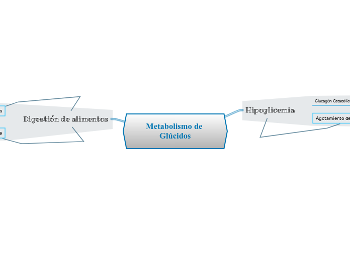 Metabolismo de Glúcidos