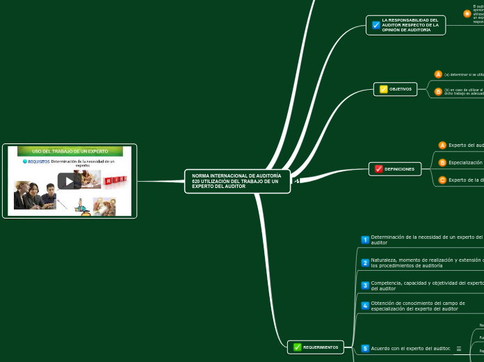 NORMA INTERNACIONAL DE AUDITORÍA 620 UTILIZACIÓN DEL TRABAJO DE UN EXPERTO DEL AUDITOR