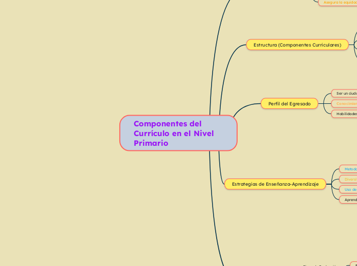 Componentes del Currículo en el Nivel Primario