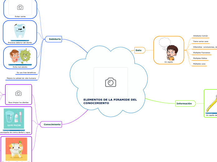ELEMENTOS DE LA PIRAMIDE DEL CONOCIMIENTO