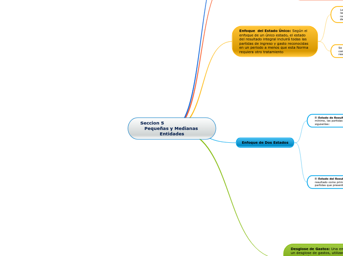 Seccion 5                          Pequeñas y Medianas Entidades