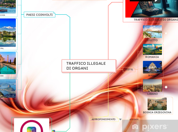 TRAFFICO ILLEGALE DI ORGANI 