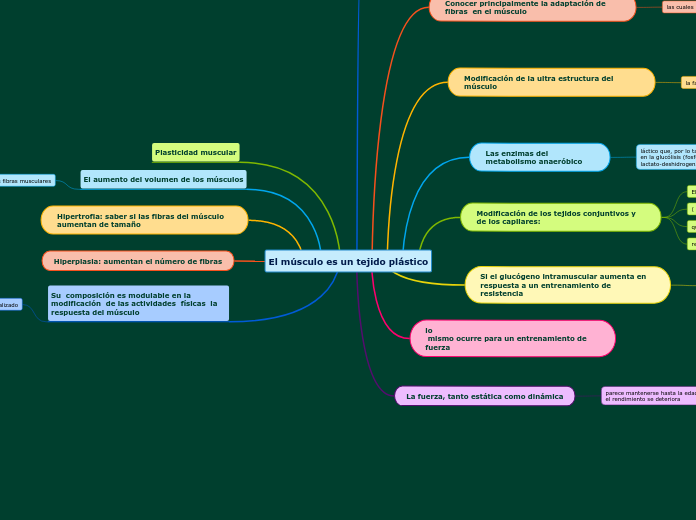 El músculo es un tejido plástico