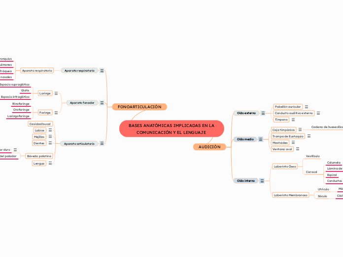 BASES ANATÓMICAS IMPLICADAS EN LA COMUNICACIÓN Y EL LENGUAJE 