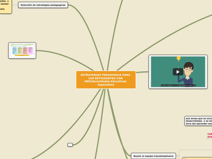 ESTRATEGIAS PEDAGOGICA PARA LOS ESTUIDANTES CON NEE(Necesidades Educativas Especiales)