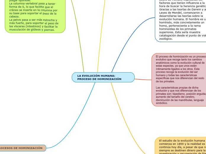 LA EVOLUCIÓN HUMANA: PROCESO DE HOMINIZACIÓN