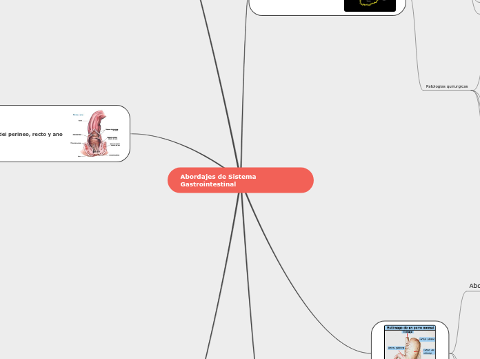 Abordajes de Sistema Gastrointestinal