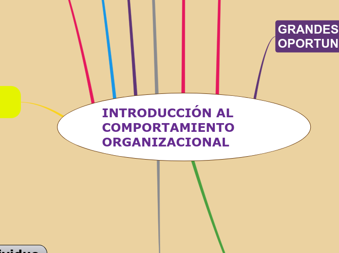 INTRODUCCIÓN AL COMPORTAMIENTO ORGANIZACIONAL