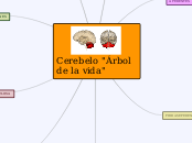 Cerebelo