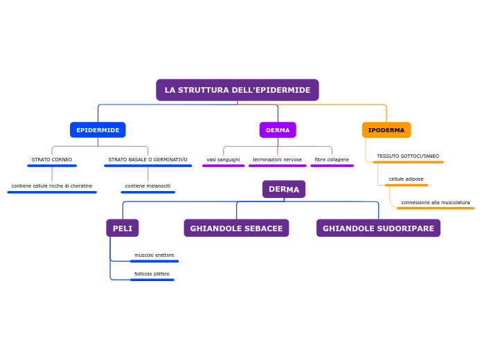 LA STRUTTURA DELL'EPIDERMIDE