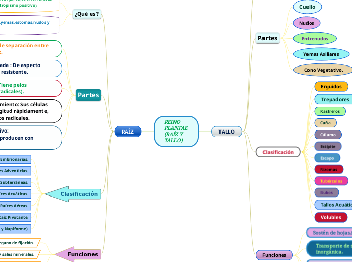 REINO PLANTAE (RAÍZ Y TALLO)