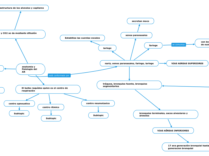 anatomia y fisiologia del AR