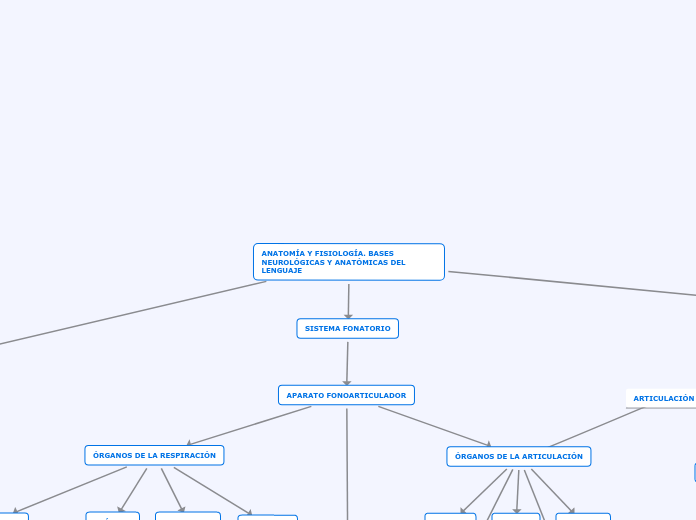 ANATOMÍA Y FISIOLOGÍA. BASES NEUROLÓGICAS Y ANATÓMICAS DEL LENGUAJE