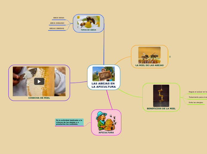 LAS ABEJAS EN 
LA APICULTURA