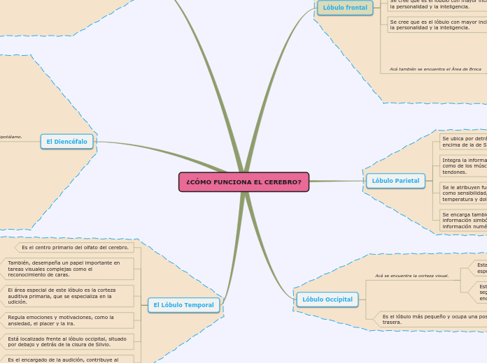 Sample Mind Map