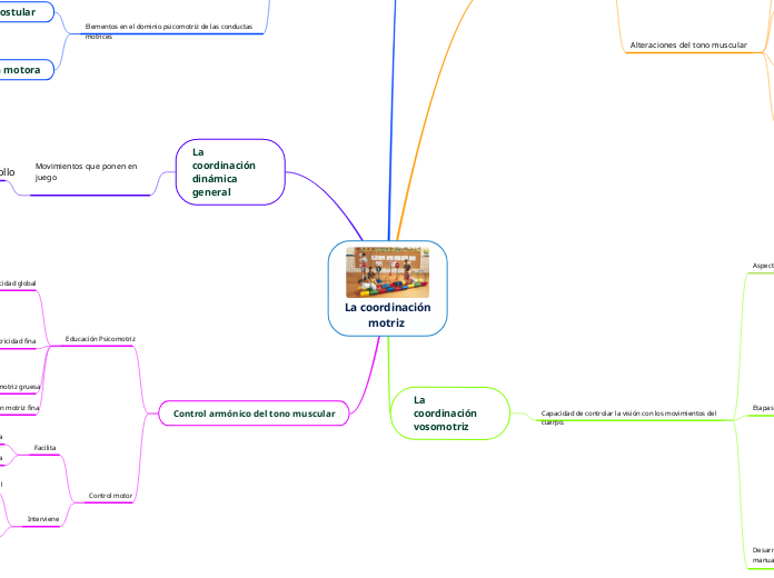 La coordinación
motriz 