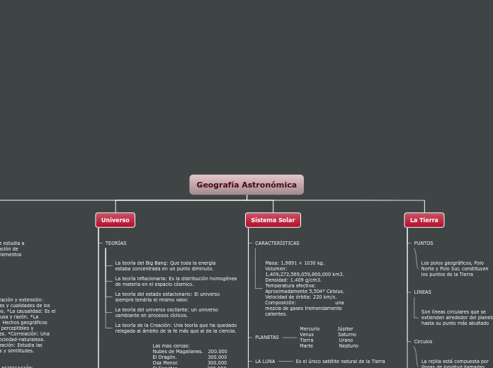 Organigrama arbol