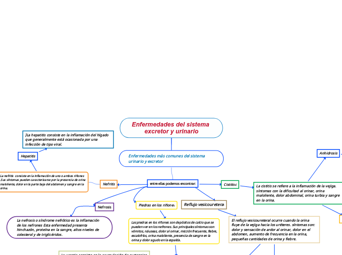 Enfermedades del sistema excretor y urinario